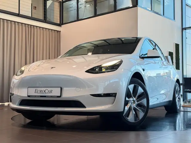 Tesla Model Y AWD Long Range Dual Motor Panorama LED