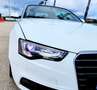 Audi A5 Cabrio 2.0 tdi 177cv multitronic - thumbnail 7
