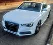 Audi A5 Cabrio 2.0 tdi 177cv multitronic - thumbnail 1