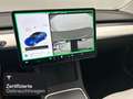 Tesla Model 3 Rear-Wheel Drive Bleu - thumbnail 14