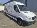 Mercedes-Benz Sprinter 313 CDI Sprinter 4x4 906.635 EEV - thumbnail 3