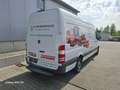 Mercedes-Benz Sprinter 313 CDI Sprinter 4x4 906.635 EEV - thumbnail 1