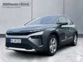 Skoda Elroq 85 Alpha *R.KAM *NAVI *SH *LH Klima Navi Gris - thumbnail 1