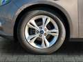 Ford Focus Champ. Edition Zahnriemen neu TÜV neu Braun - thumbnail 9