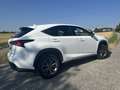Lexus NX 300h NX Hybrid E-FOUR F SPORT Premium Weiß - thumbnail 7
