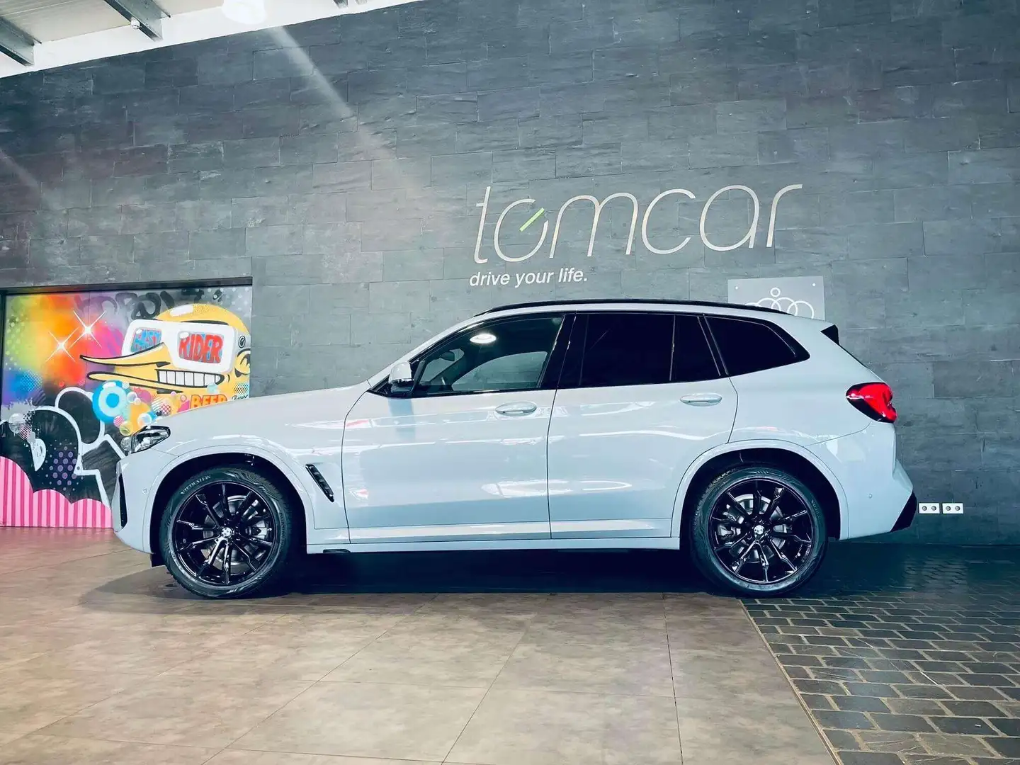 BMW X3 X3 xDrive20d M Sport Steptronic Gris - 1