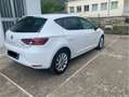 SEAT Leon 5p 1.6 tdi cr Business (navi) s&s 110cv dsg - thumbnail 8