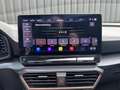 CUPRA Formentor 2.0 TSI 4DRIVE PANO BREMBO MEMORY BEATS TREKHAAK Zwart - thumbnail 33