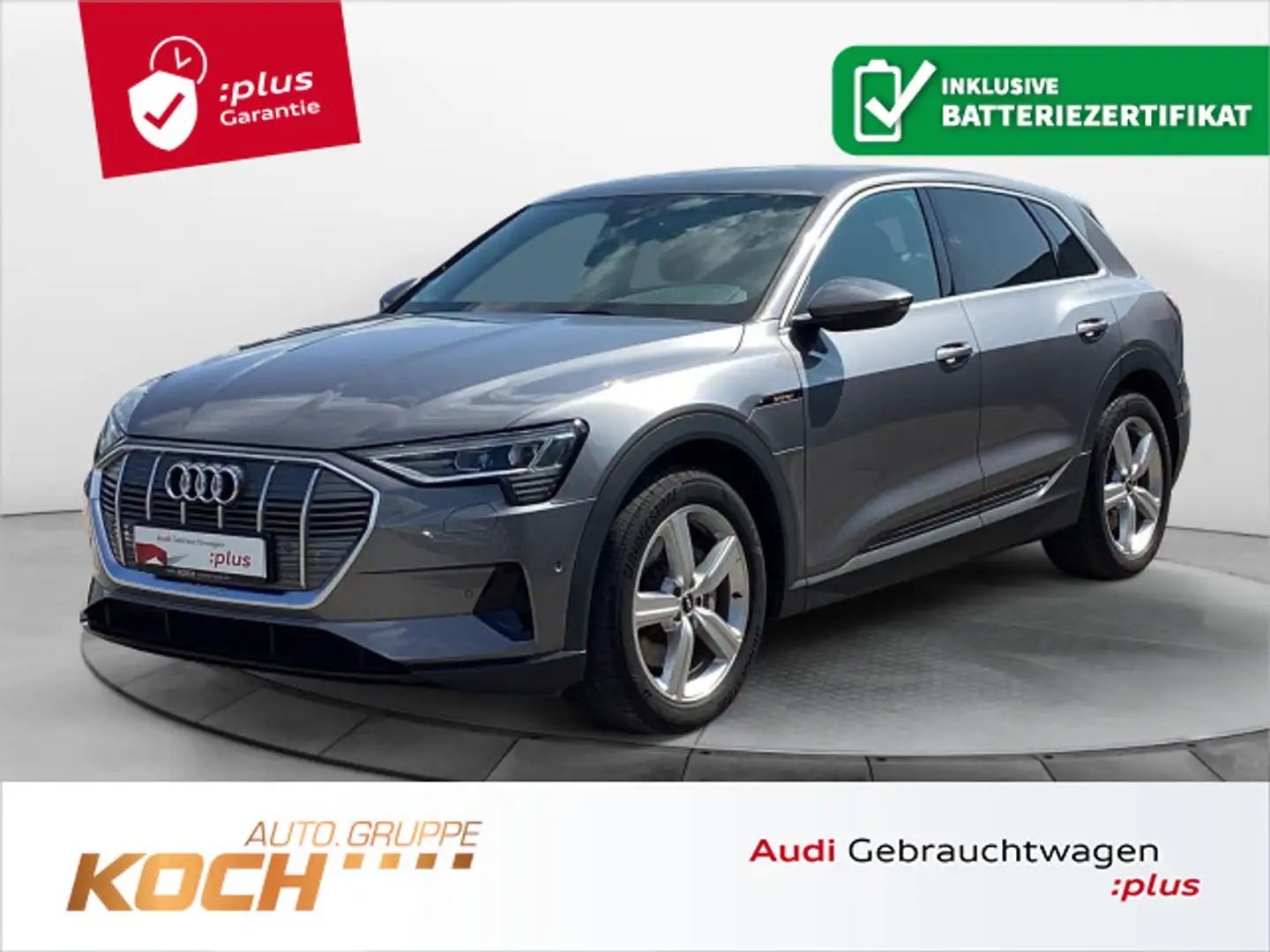 Audi e-tron 50 quattro, LED, AHK, Ambiente, LM 20, Te Grau - 1
