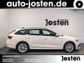 Skoda Octavia iV Ambition 1.4 TSI LED virtual CarPlay Weiß - thumbnail 16