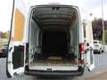 Ford Fiesta Transit 2T 2.2 TDCI 155 L4H3 TREND Blanc - thumbnail 13