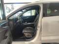 Renault Austral Full Hybrid E-Tech 200 CV Techno Nero - thumbnail 7
