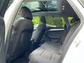 Audi A4 2.0 tdi S Line Quattro 177cv s-tronic Tetto Pano Bianco - thumbnail 10