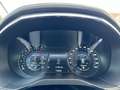 Ford S-Max 2.0 EcoBlue EU6d-T Vignale 3-Zonen Klima,SHZ,LHZ,E Bílá - thumbnail 13