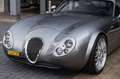 Wiesmann MF 4 GT V8 manual Grau - thumbnail 31
