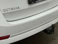 Skoda Octavia Style TDI DSG Weiß - thumbnail 21