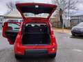 Fiat Panda Panda 1.0 firefly hybrid City Life *PROMO OUTLET* Rosso - thumbnail 8