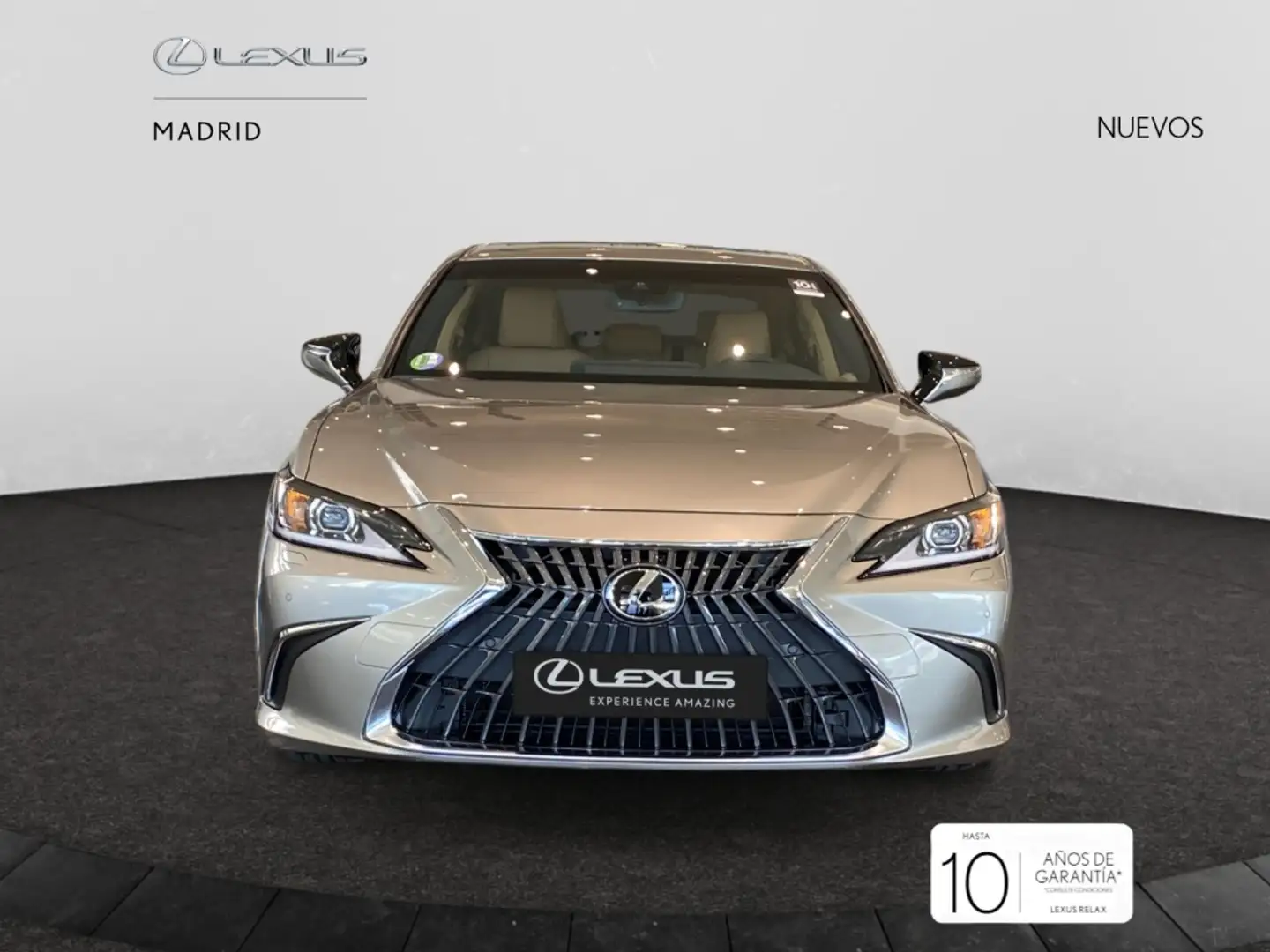 Lexus ES 300 300h Premium Grau - 1