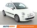 Fiat 500 1.0 Mild-Hybrid Star *TEMPO*ALU*PDC*KLIMA* Weiß - thumbnail 8