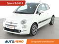 Fiat 500 1.0 Mild-Hybrid Star *TEMPO*ALU*PDC*KLIMA* Weiß - thumbnail 1
