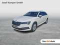 Skoda Superb Style TDI DSG Weiß - thumbnail 1