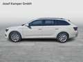 Skoda Superb Style TDI DSG Weiß - thumbnail 2