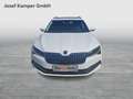 Skoda Superb Style TDI DSG Weiß - thumbnail 8