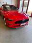 Ford Mustang Mustang Convertible 5.0 Ti-VCT V8 GT (EU6.2) Rood - thumbnail 3