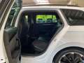 Skoda Superb Combi Sportline Hybrid 1.4 TSI DSG AHK Weiß - thumbnail 13