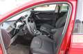 SEAT Ibiza FR Rouge - thumbnail 12