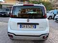 Fiat Panda Cross 1.0 FireFly S&S Hybrid CROSS no obblig. di f Weiß - thumbnail 6