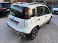 Fiat Panda Cross 1.0 FireFly S&S Hybrid CROSS no obblig. di f Weiß - thumbnail 4