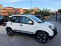 Fiat Panda Cross 1.0 FireFly S&S Hybrid CROSS no obblig. di f Weiß - thumbnail 8