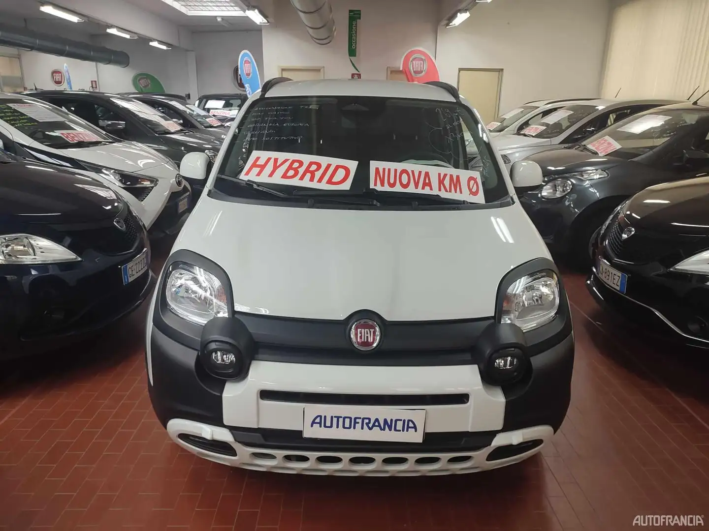 Fiat Panda PANDINA - 1.0 HYBRID 70CV Blanc - 1