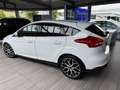 Ford Focus Focus 1.5 EcoBoost Titanium Weiß - thumbnail 2
