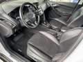 Ford Focus Focus 1.5 EcoBoost Titanium Weiß - thumbnail 9