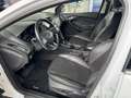 Ford Focus Focus 1.5 EcoBoost Titanium Weiß - thumbnail 8
