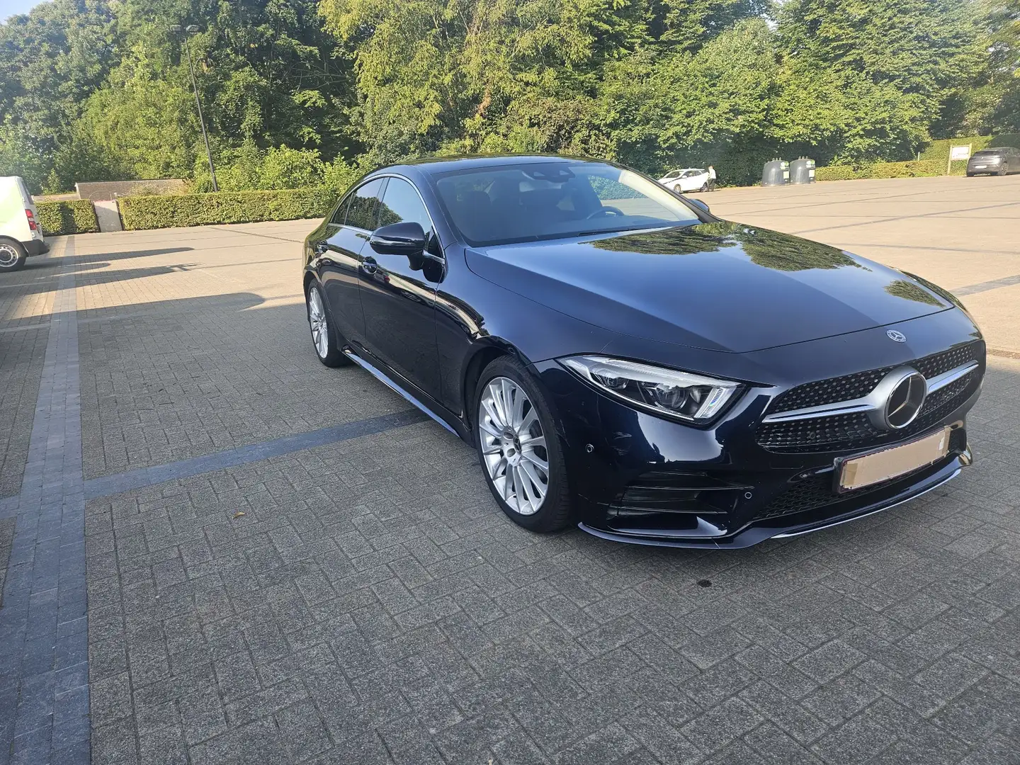 Mercedes-Benz CLS 350 cls 350 d 4matic Bleu - 1