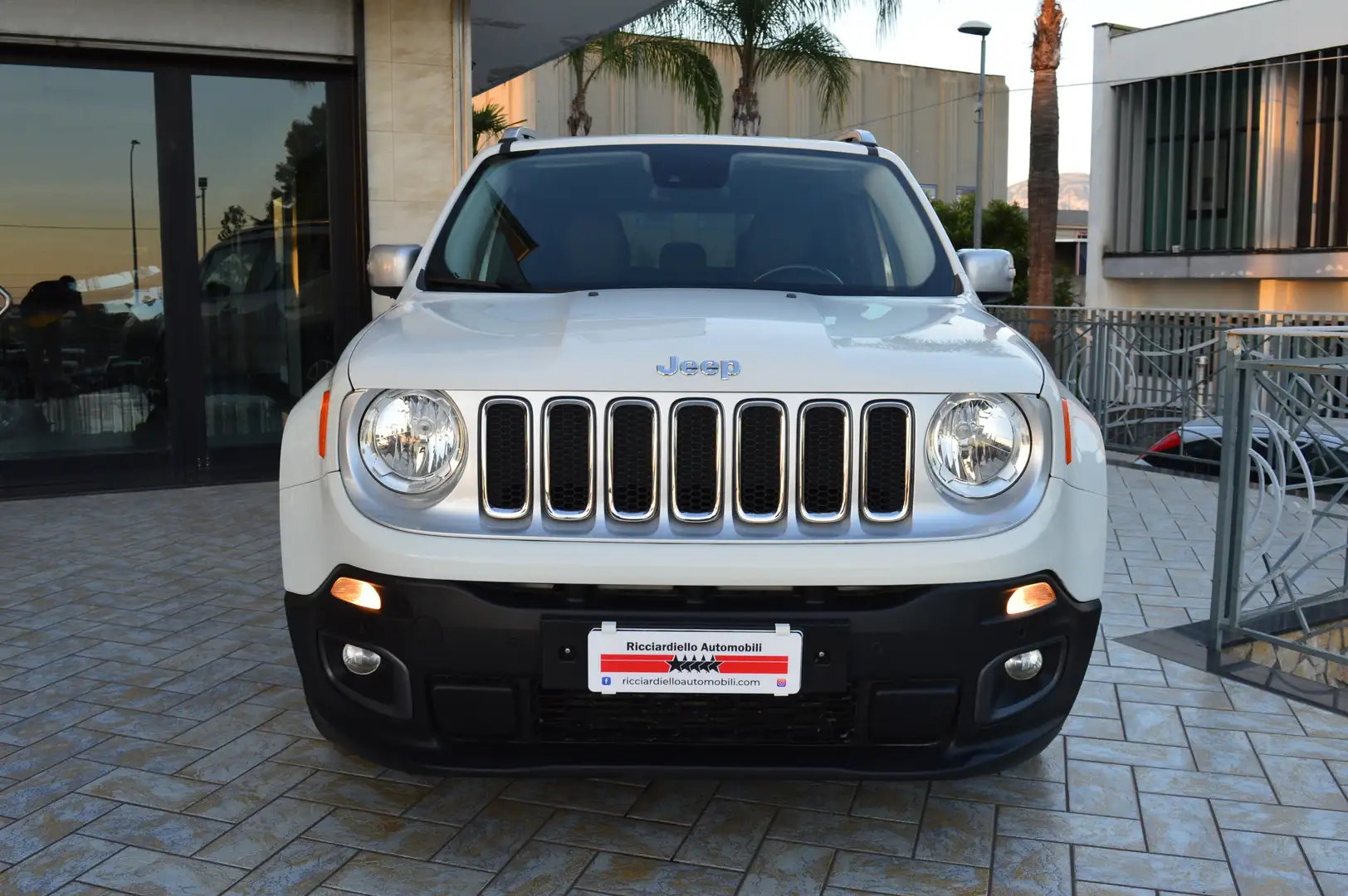 Jeep Renegade 1.6 Mjt 120Cv Limited E6 - Pelle/Navy Bianco - 2