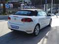 Volkswagen Golf Cabrio 1.4 TSI DSG 160 Blanco - thumbnail 17