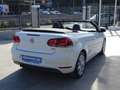 Volkswagen Golf Cabrio 1.4 TSI DSG 160 Blanco - thumbnail 5