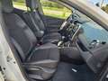 Renault Clio 1.5 dCi 8V 75 CV 5 porte Moschino AUTOCARRO N1 Weiß - thumbnail 10