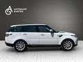 Land Rover Range Rover Sport 3.0TDV6 Pano./Kamera/Leder/AHK Weiß - thumbnail 6