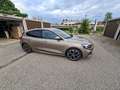 Ford Focus Focus 1,5 EcoBlue ST-Line ST-Line Grau - thumbnail 9