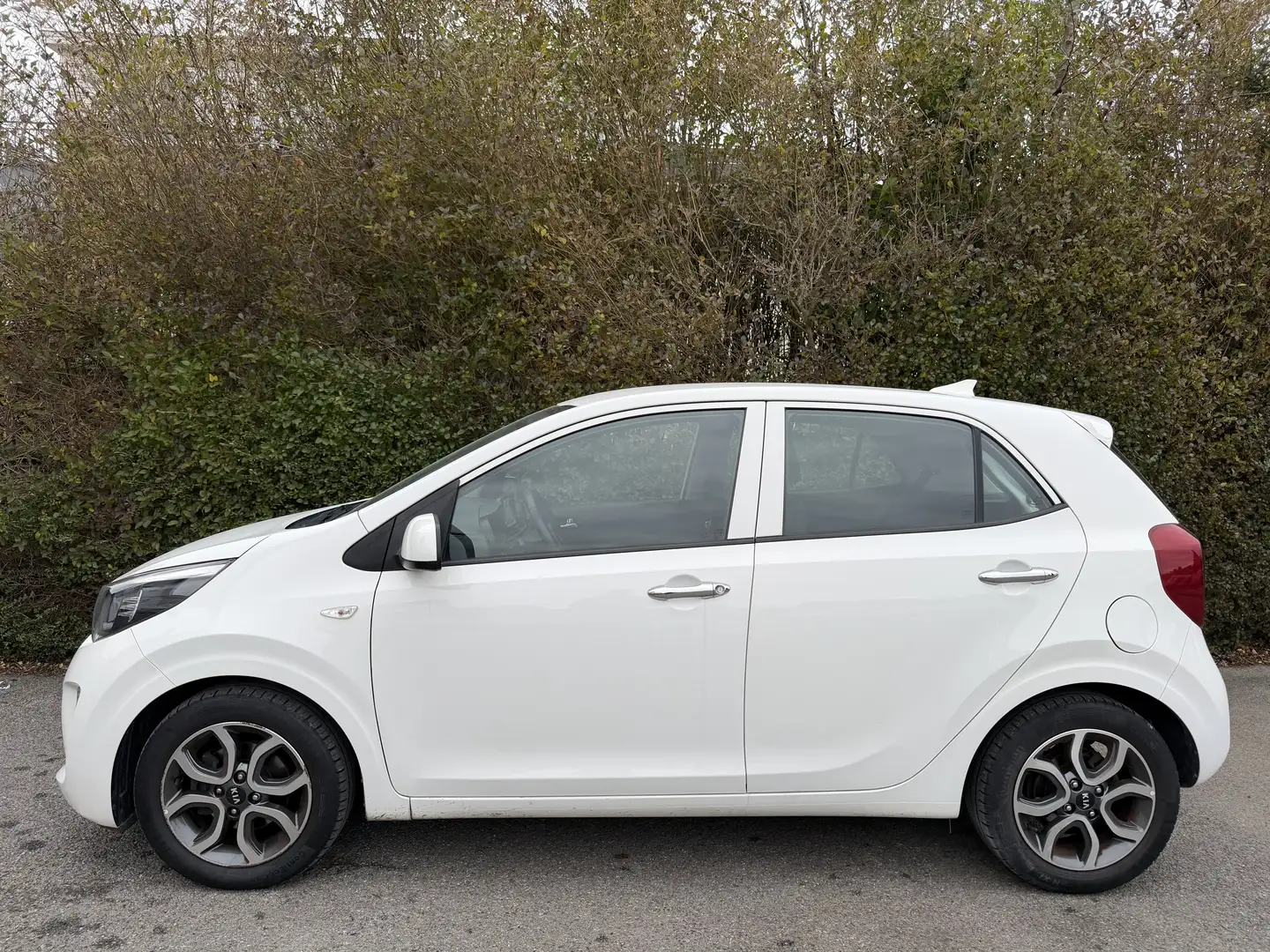 Kia Picanto 1.0i CAMERA+NAVI+JANTES+CLIM AUTO Wit - 2