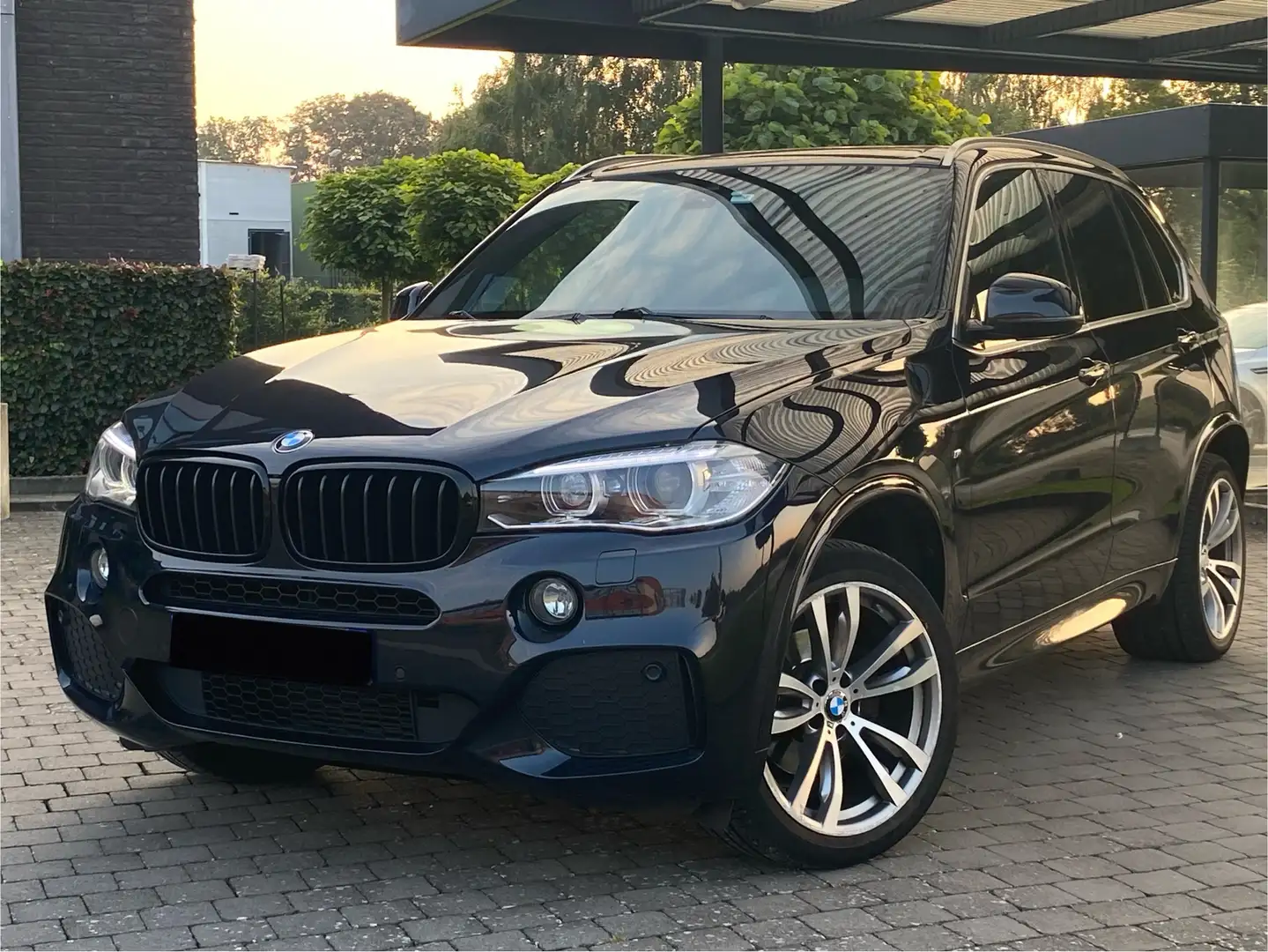 BMW X5 3.0 dA xDrive30 - 2