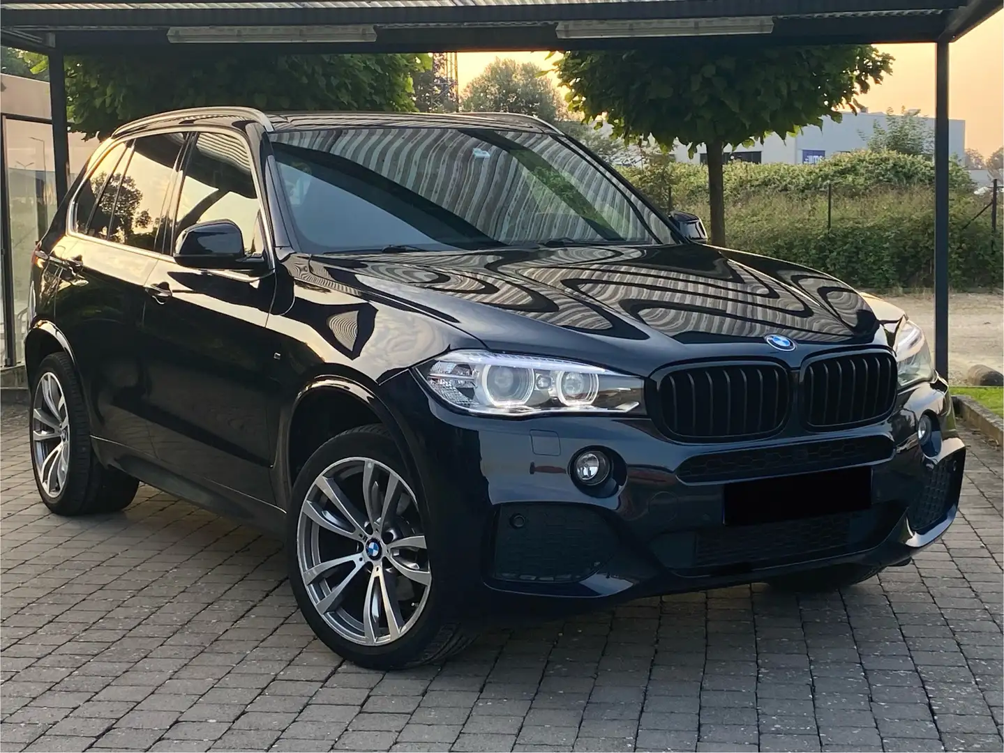 BMW X5 3.0 dA xDrive30 - 1