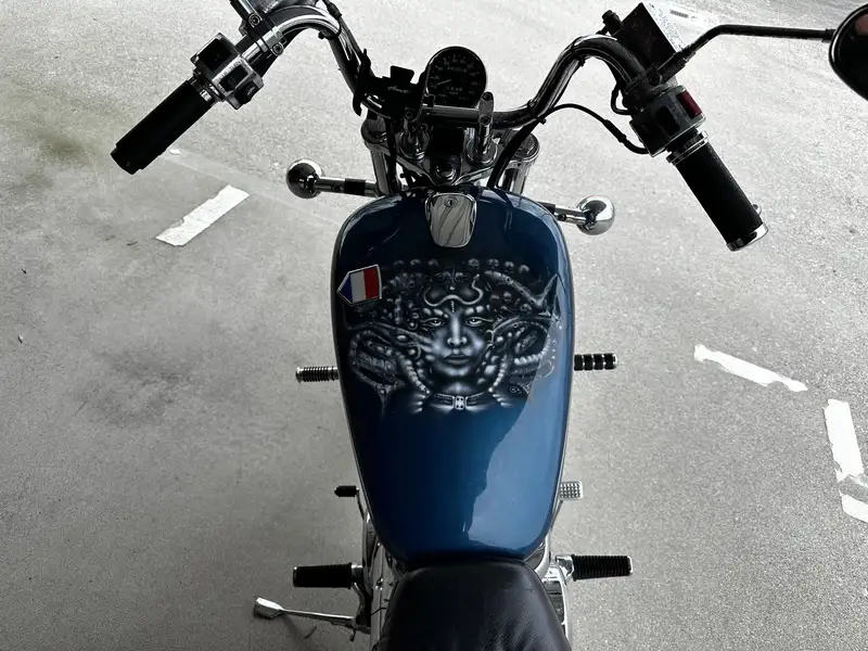 Suzuki VS 800 - foto 5