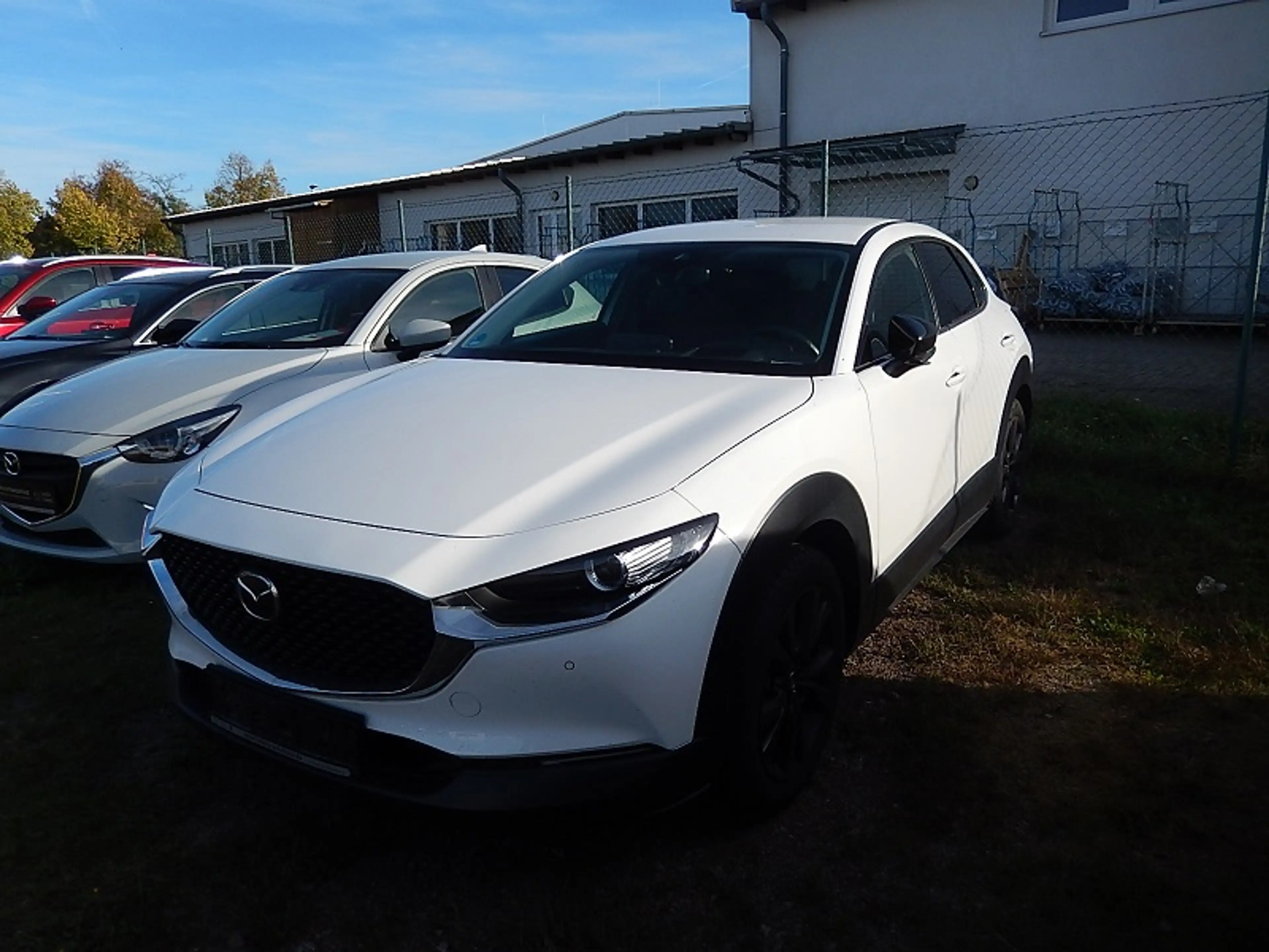 Mazda CX-30 L SKYACTIV-G 2.0 150PS M Hybrid 6GS AL-HOMURA
