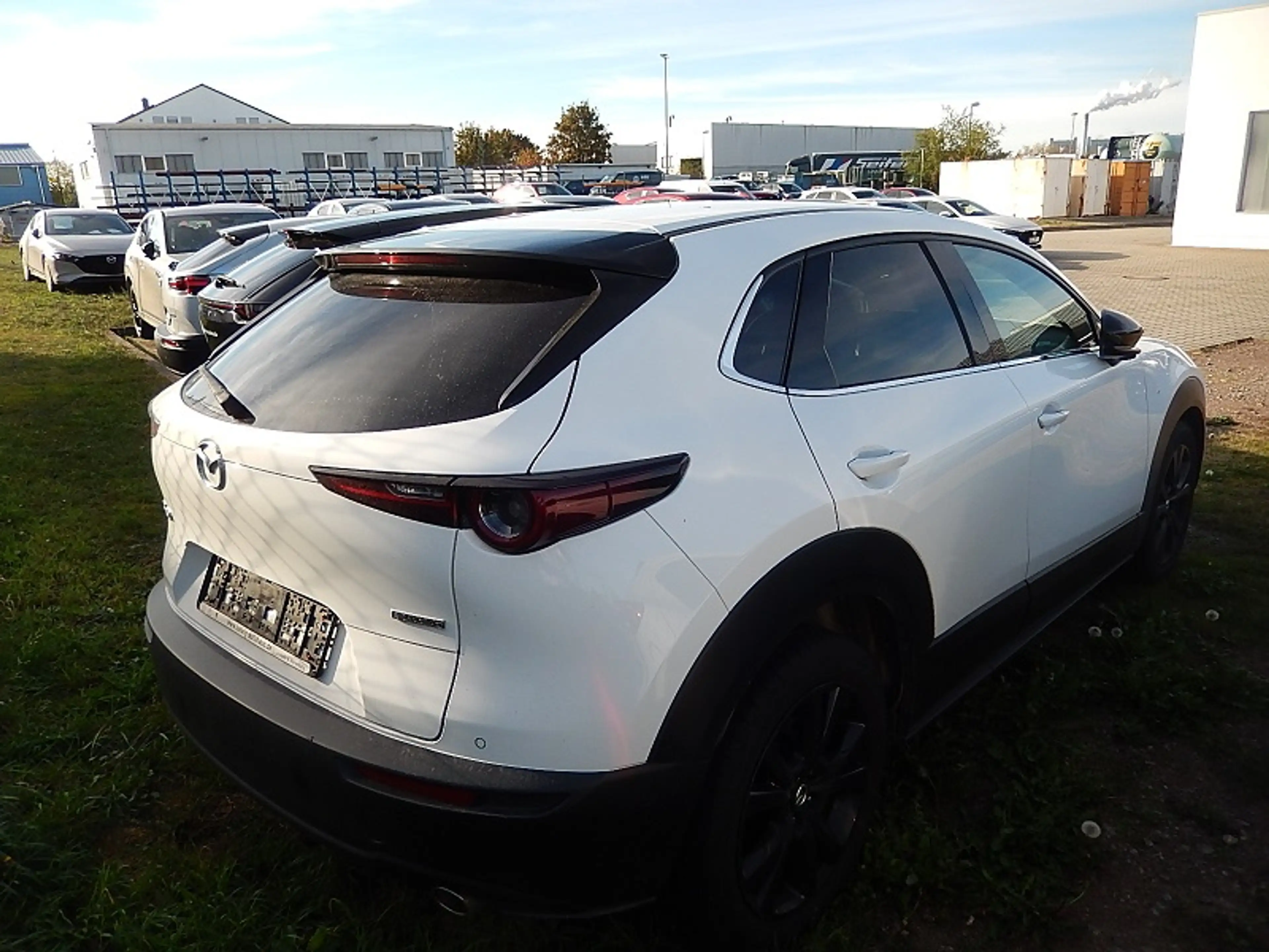 Mazda CX-30 L SKYACTIV-G 2.0 150PS M Hybrid 6GS AL-HOMURA — photo 2